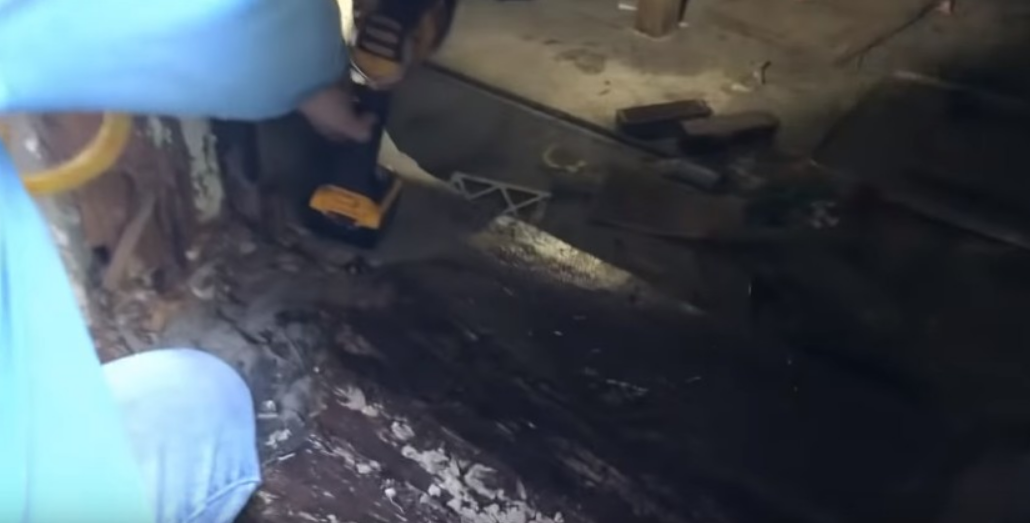 狗狗被困在废弃房屋内，2周后才被解救出来，房主：这锅我不背