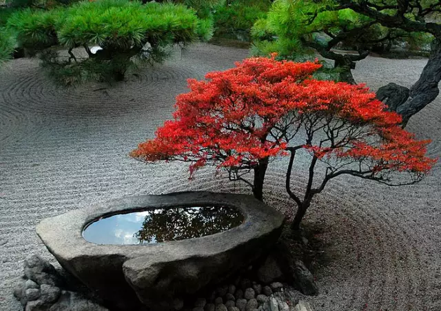 佛系庭院，就是极致空灵！