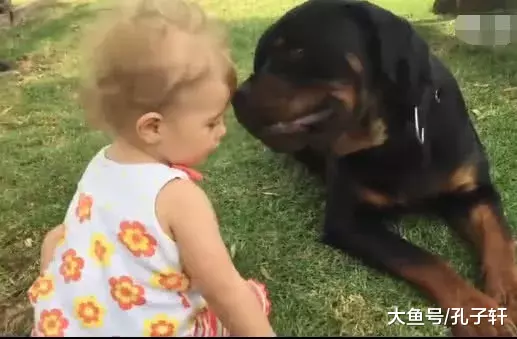 猛犬被宝宝一屁股坐在头上，龇牙咧嘴抬起头却做出让宝妈吃惊一幕！