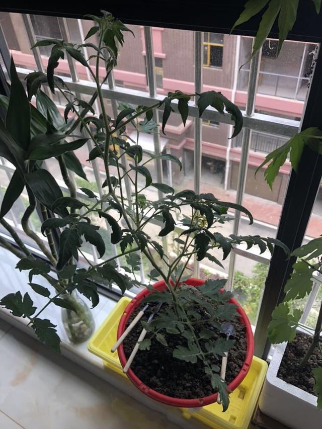 24岁终于拥有属于自己的房，10万穷装，闺蜜来参观直言非常羡慕我