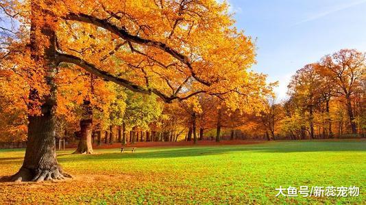 如何通过了解八字正确的规划人生，事业生活才能平稳向前发展