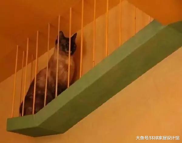 美国硬汉花二十几年为22只猫爆改住宅！日常撸撸猫，羡煞人也！