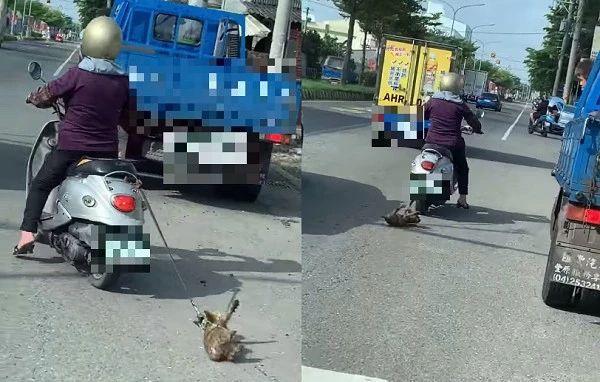 约克夏遭大妈强行骑车拖行痛苦挣扎！好心路人见状立刻展开追击