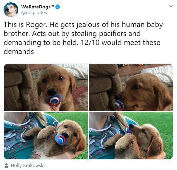 狗狗忌妒小主人，把他的奶嘴偷了：谁还不是个宝宝啦！