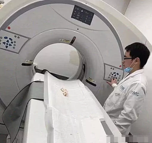 鹦鹉不吃不喝送去医院检查，看到医生开的检查项目后，主人懵逼了