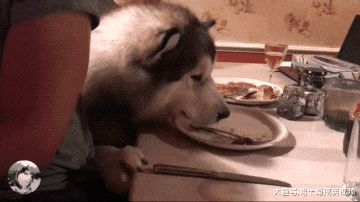 阿拉一百多斤了，不给吃肉还掀桌子，自己多胖心里没数呢？