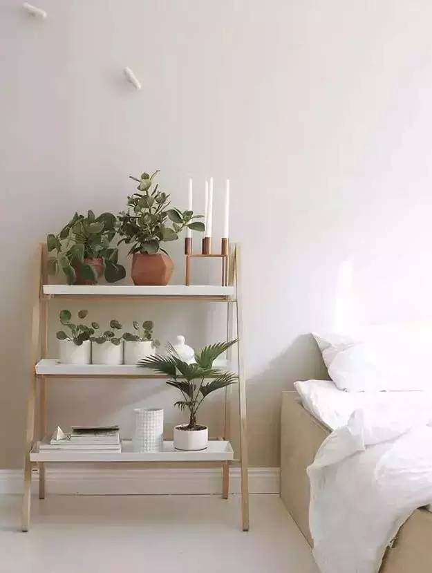 卧室摆放绿植有讲究，马虎不得！