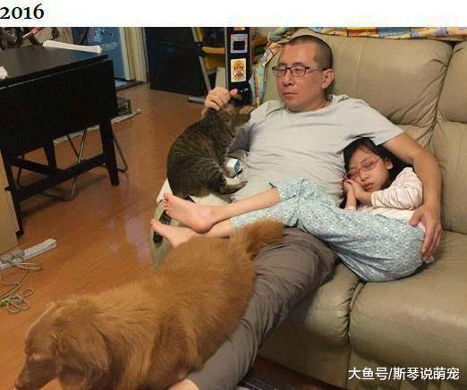 爸爸每年都抱着女儿拍一张相片，女儿在长大、爸爸在变老