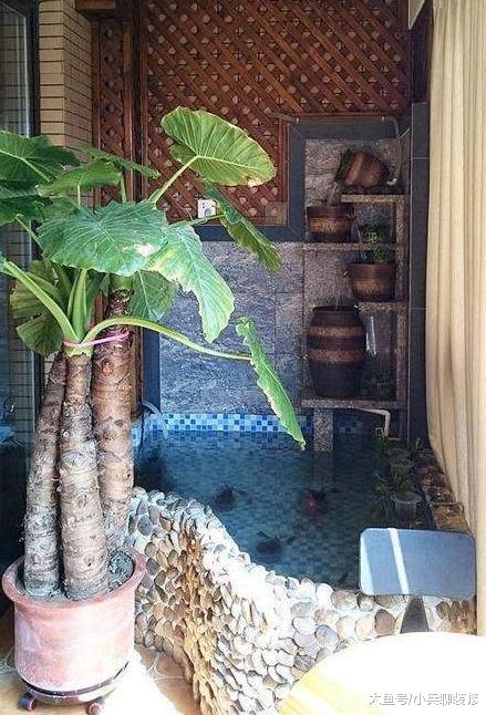 老公在阳台砌了个鱼池，成本不过100元，效果却轰动朋友圈！