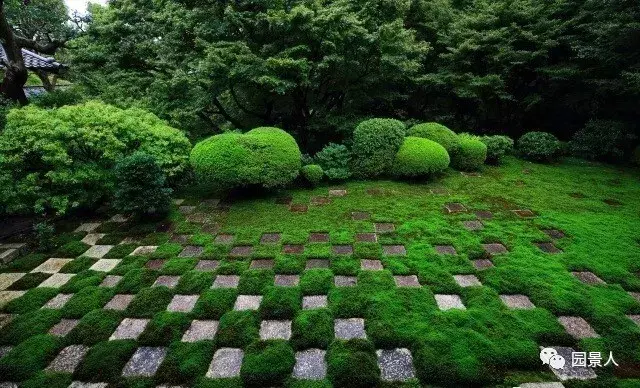 庭院青苔 · 歲月之痕