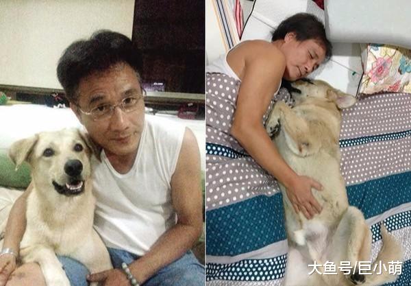 妈妈每天半夜偷偷跑出去，被爸爸以为有外遇，结果是跑去喂流浪狗