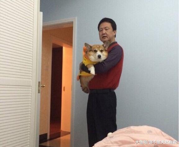 狗狗喜欢让你“抱抱”的5大原因，狗狗：谁还不是个宝宝啊