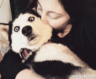 别藏了！你肯定有狗，养狗人的五大特征，你暴露了吗？