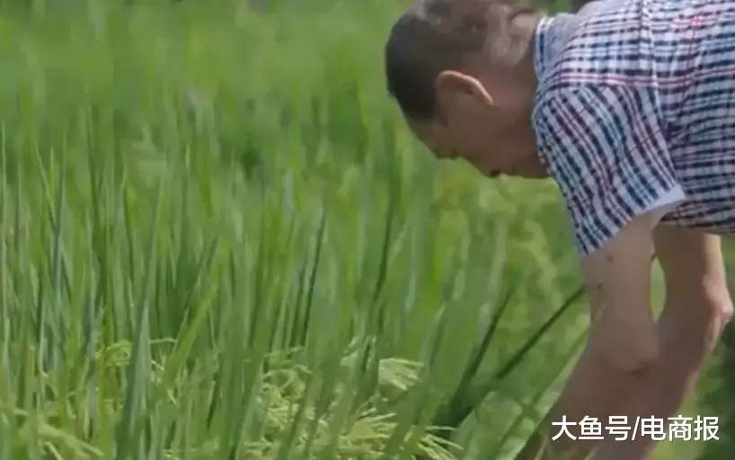 不买房回农村盖别墅，这些年轻人很傻很天真？