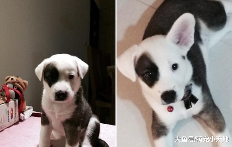 米克斯惊喜包，长大后黑轮褪色变渐层烟熏妆