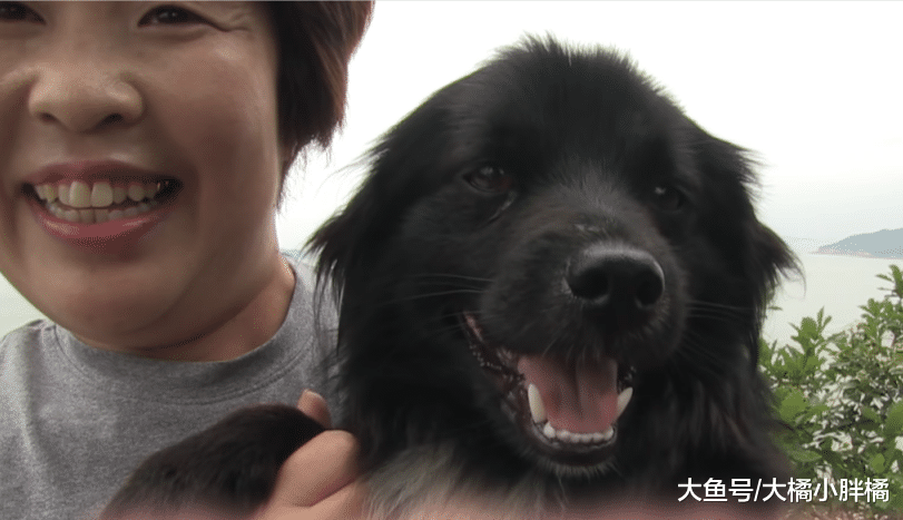 狗狗做起了“导游”，每天带着游客去爬山，主人知道后说出了原因