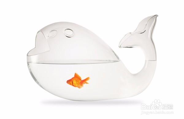 萌寵E家，寵物用品寵物家具