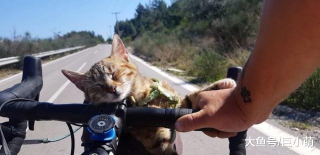 男子旅行遇流浪猫，带它一起环游欧洲，在猫的帮助下解开了心结