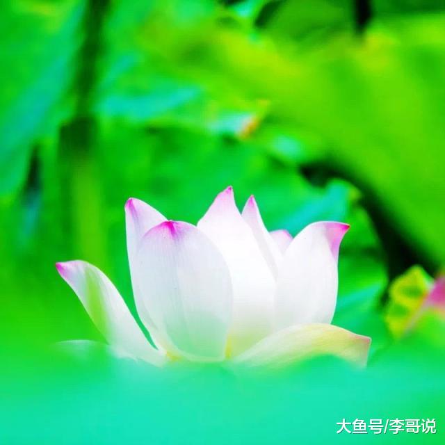 守嘴不惹祸，守心不出错！