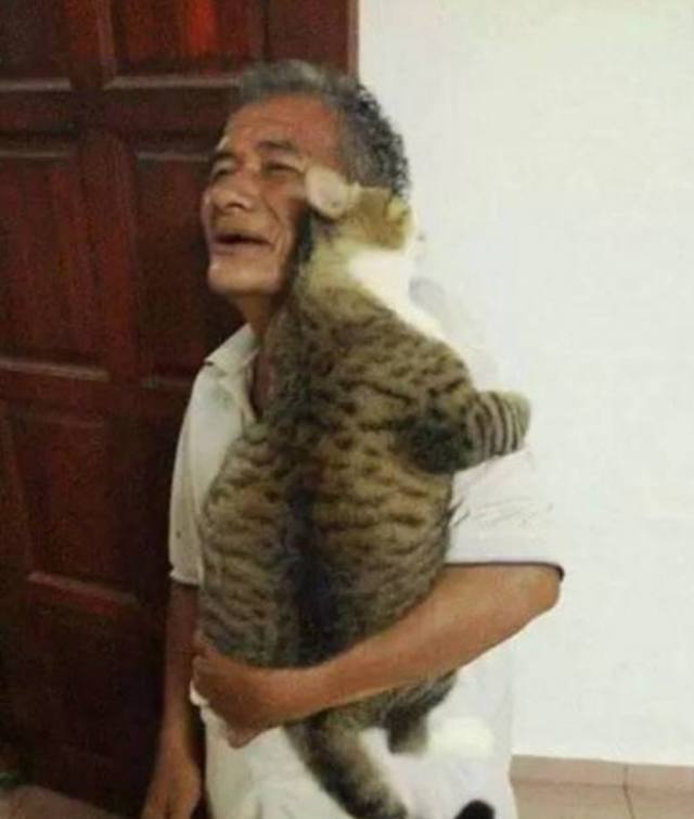 把猫咪送到爷爷家里寄养，半年后，猫咪竟然不要我了
