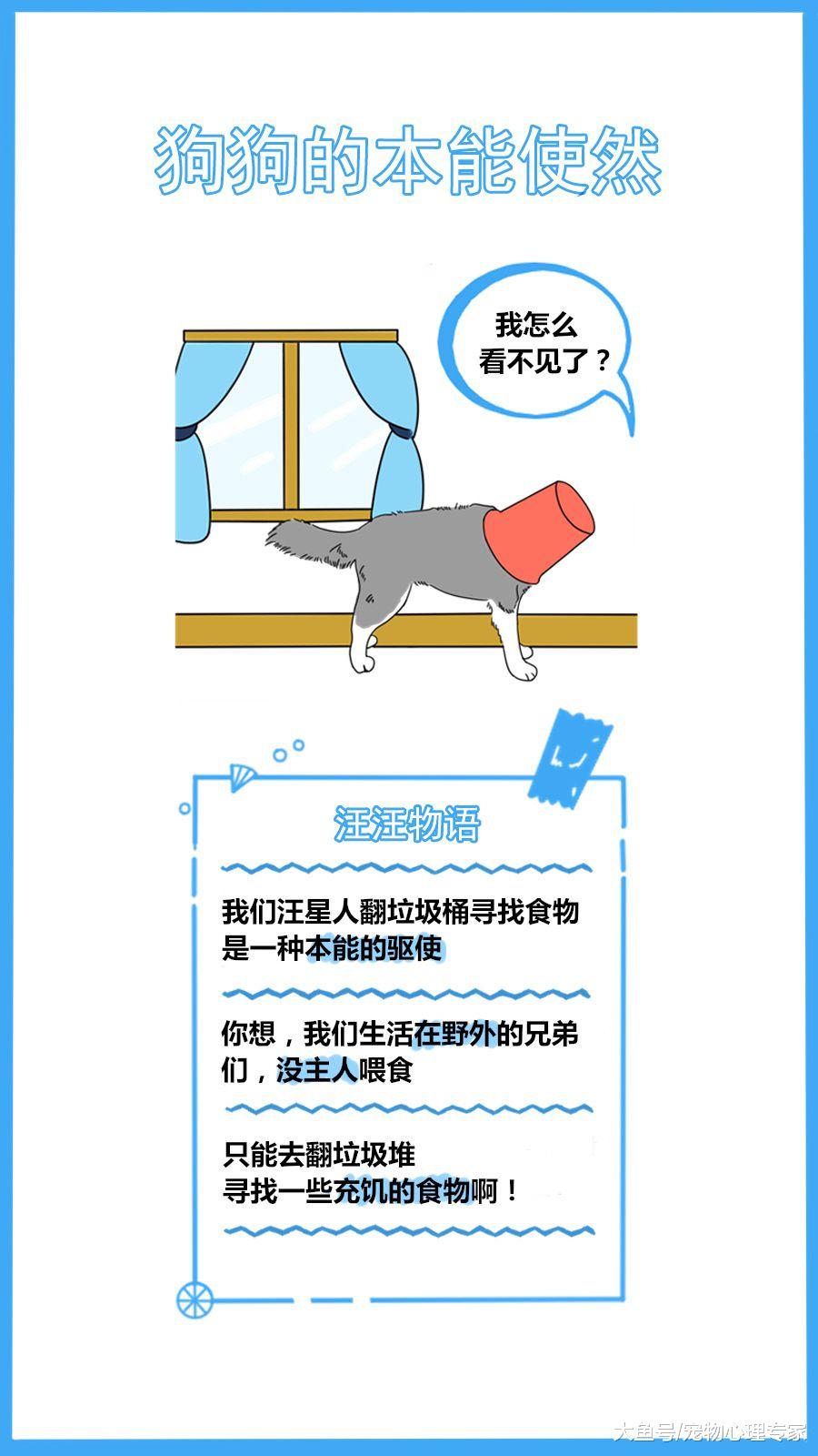 59秒冷盘点：狗狗爱翻垃圾桶怎么办？还在使用“武力“解决？