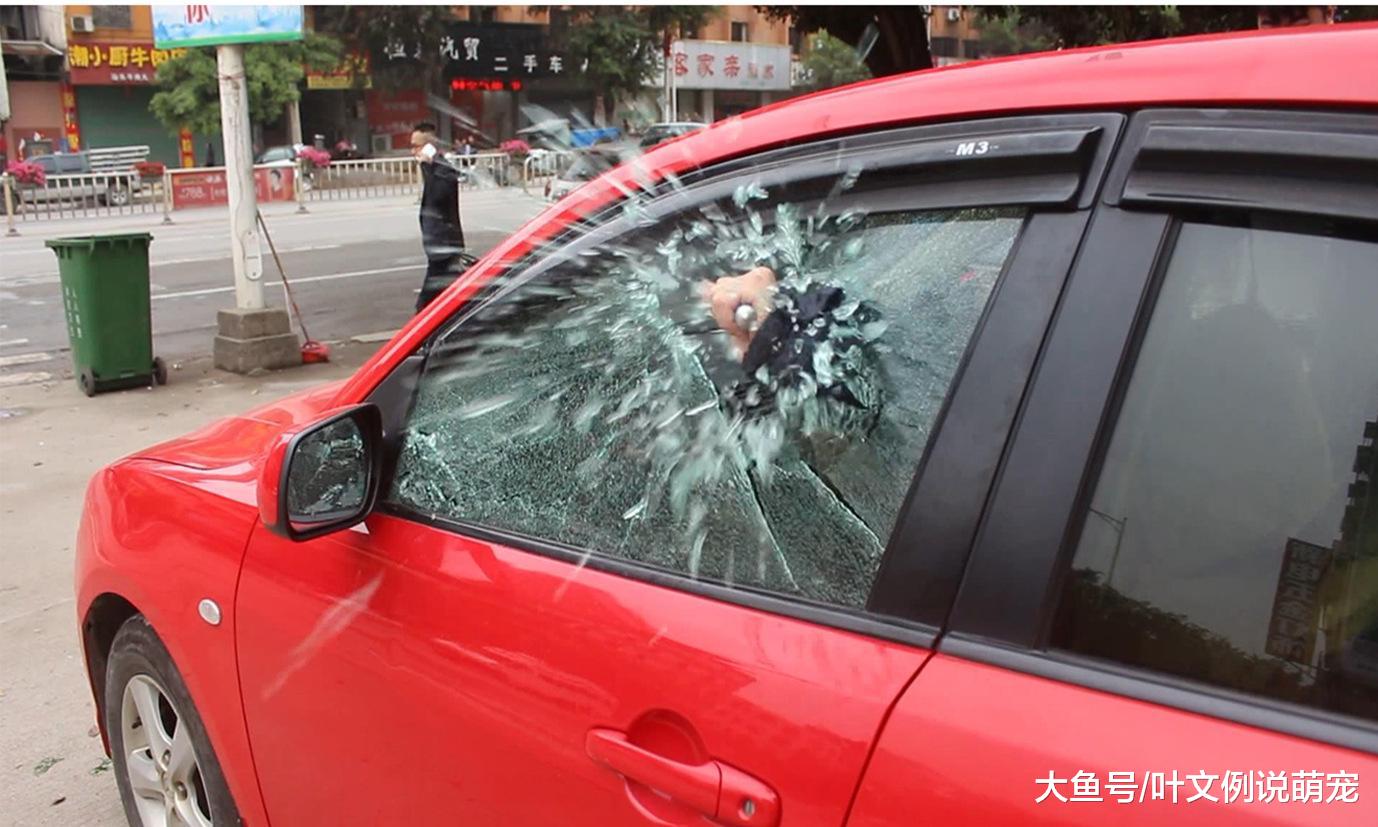 驾照1分没扣，却被吊销了？交警：谁叫你没看驾照上“这4个字”