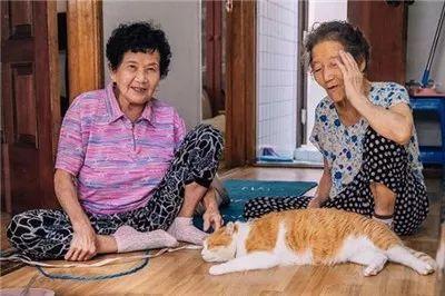 被奶奶带大的橘猫, 就是和别人家的不一样哈