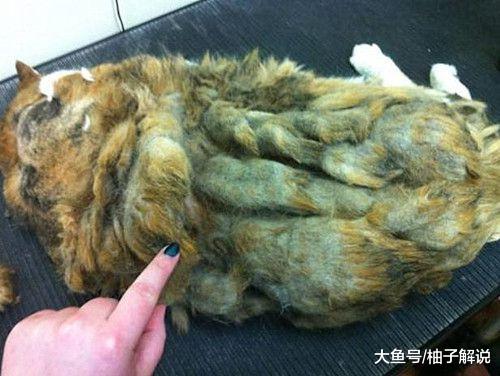 女孩带着“拖把”来医院就诊，医生表情复杂：请问哪位是患者？