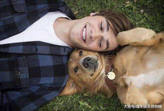 养狗的注意了，如果做不到这几点，就是“害了”它