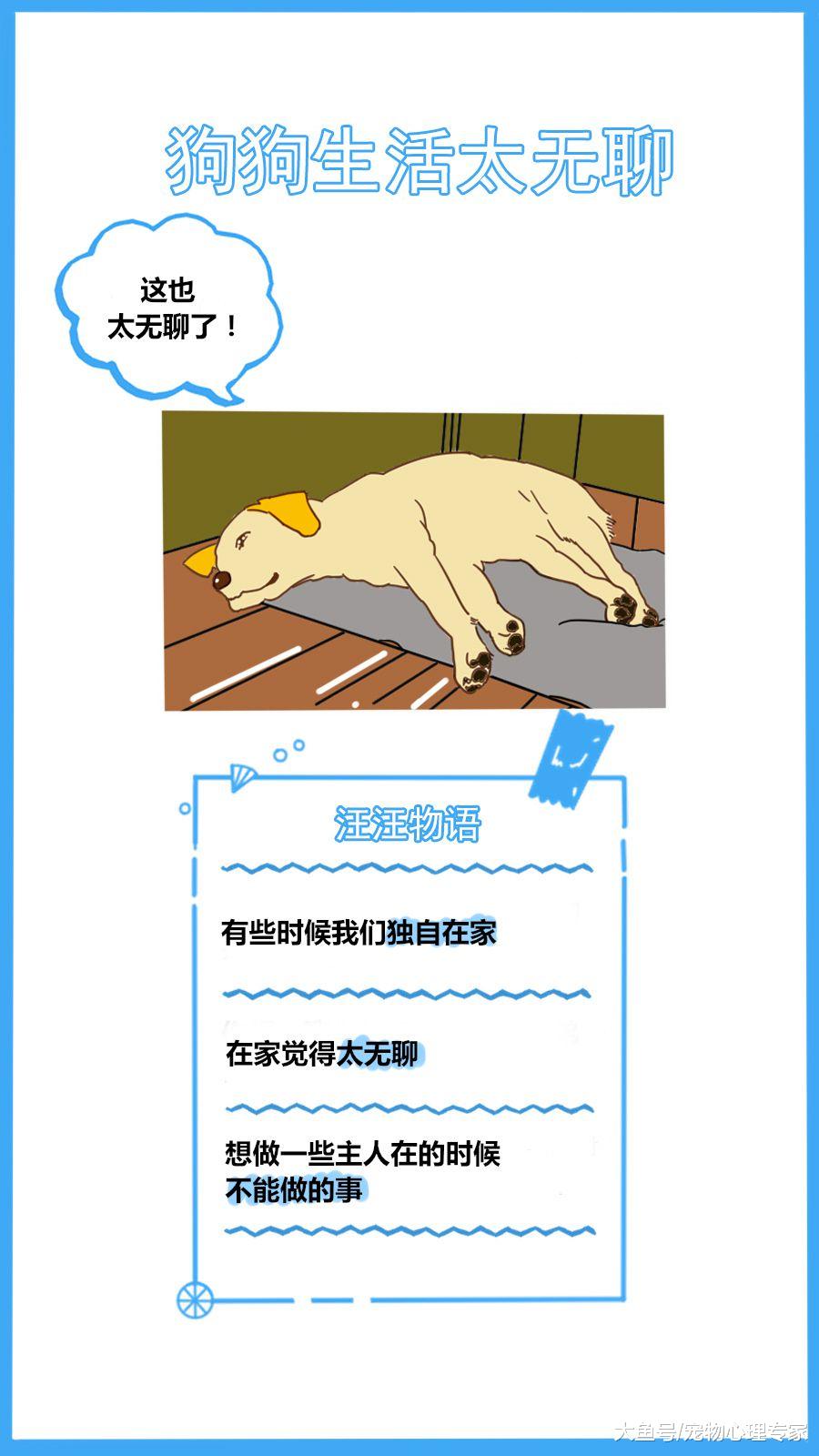 59秒冷盘点：狗狗爱翻垃圾桶怎么办？还在使用“武力“解决？