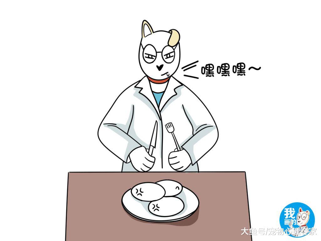 家中乌龟下了许多蛋，男子拿来几颗做煎蛋，出锅时让人无从下手