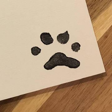 柴犬拥有杰出艺术天赋, 主人试着教导爱犬学绘画, 如今一画千元!