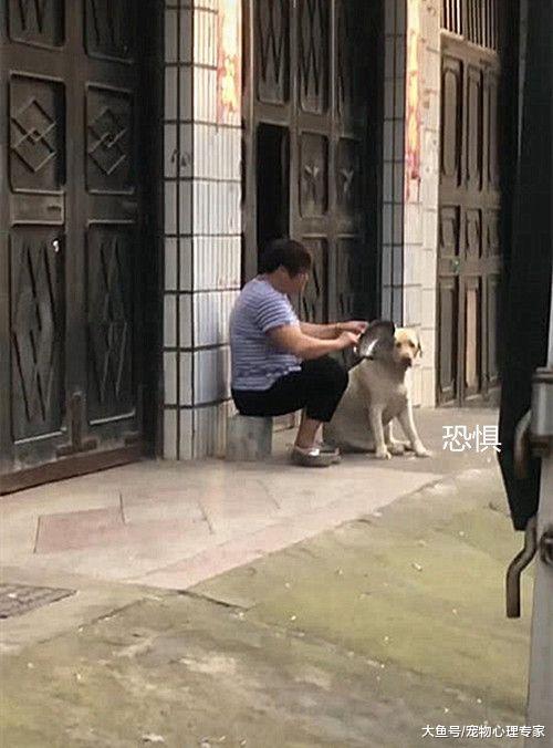 老远看到位大妈以为在虐狗，观察后懵了：似曾相识的画面