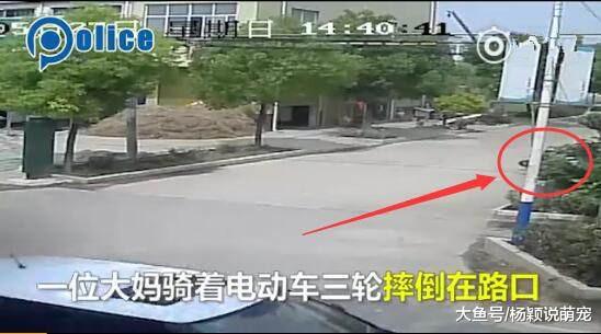 警察小哥扶倒地阿姨反被讹，自证清白，阿姨讹人不成，又想鬼点子
