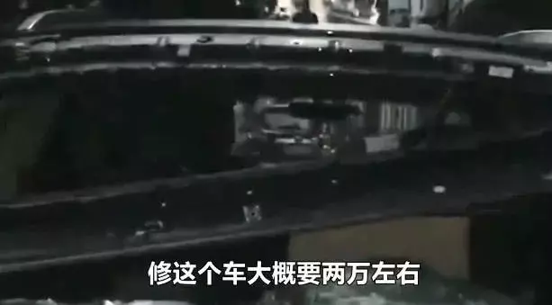 车在路边停, 狗从天空降, 哪个傻狗想不开跳楼了?