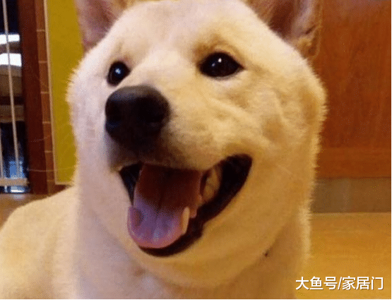 关之琳在香港的豪宅，卧室旁摆满了化妆品，装修很豪华