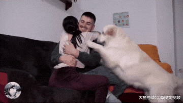 男子起床做个早饭，回来看到金毛却懵了，女主人哪儿去了？