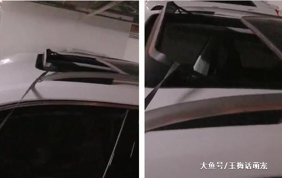 阿拉斯加被关车内从天窗爬了出来，幸好你那么牛不是牛在拆车方面