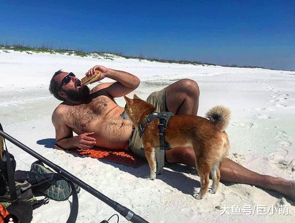 失明的柴犬却坚持徒步探险，和主人相伴翻山越岭，完成83天的旅程