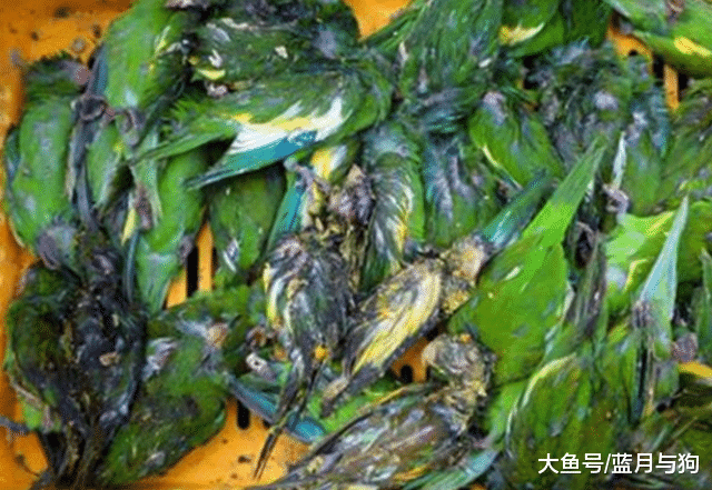 警方接到群众的举报查获废弃房，打开“蔬菜箱”后，让众人傻眼了