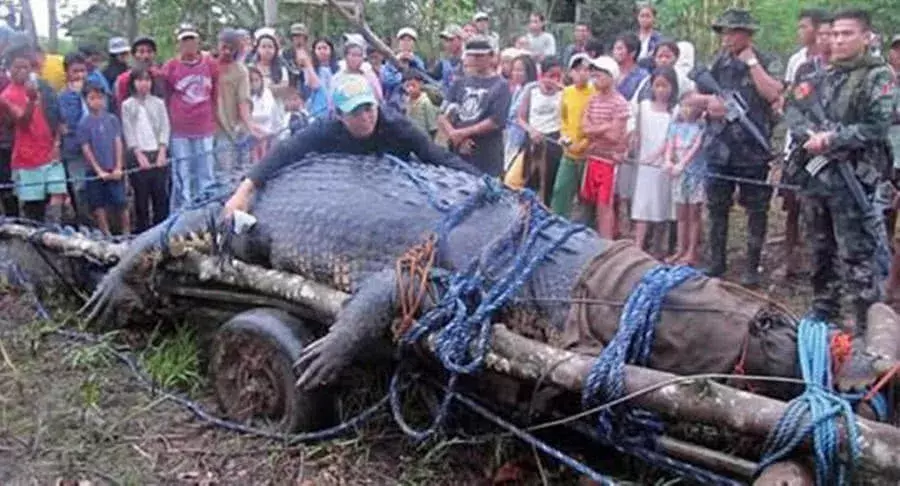 世界上最大的鱷魚，生前殺害多人，因體型巨大而被赦免死罪