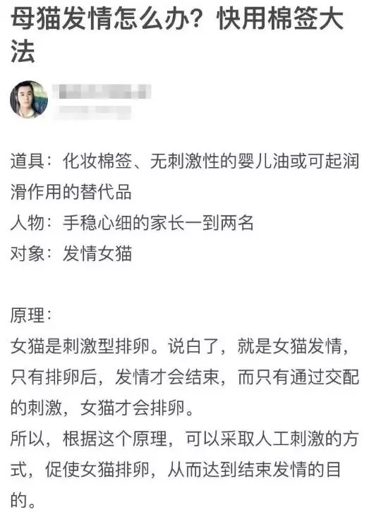 猫咪猫闹该怎么办？现在还有人相信棉签大法？