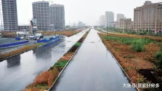 春節后的第一場土拍，拍出兩個＂未來＂！