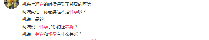 怀孕了不能养狗，会感染弓形虫？狗子：这个锅我不背