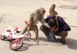 爆笑GIF：大哥，你这样睡在妹子的肩膀上，也难怪她会一脸嫌弃了