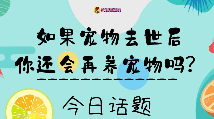 铲屎官加班到凌晨才回家，柴犬仅用尾巴表示欢迎，原来是生气了