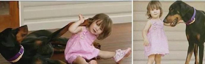 小女孩被凶猛大狗咬住，妈妈走近发现，欠狗狗报答不完的恩情