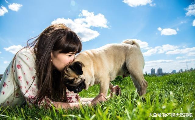 盘点10大最受欢迎狗狗，你家的榜上有名吗？