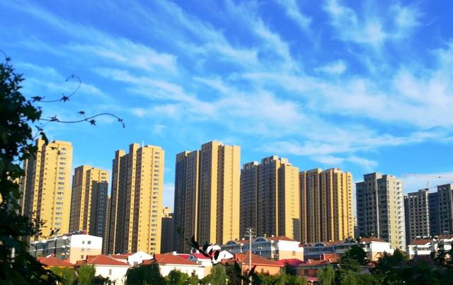 有网友认为：“屋以西为贵”，建议买西户房