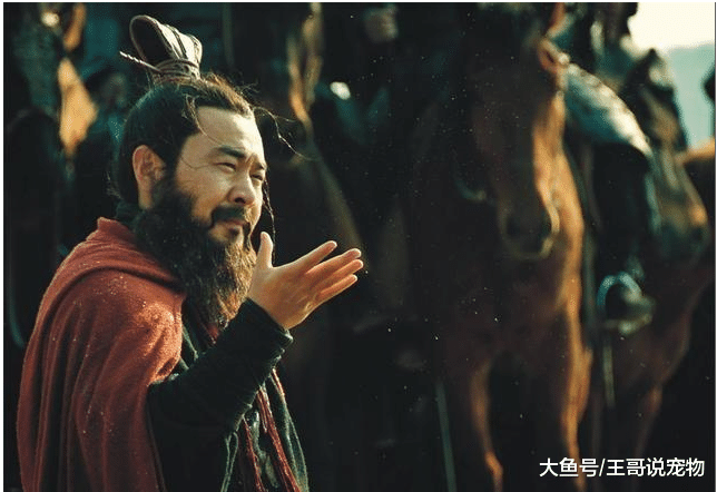 为何说三国中郭嘉的死是最为可惜的？如果不死，会是什么局面